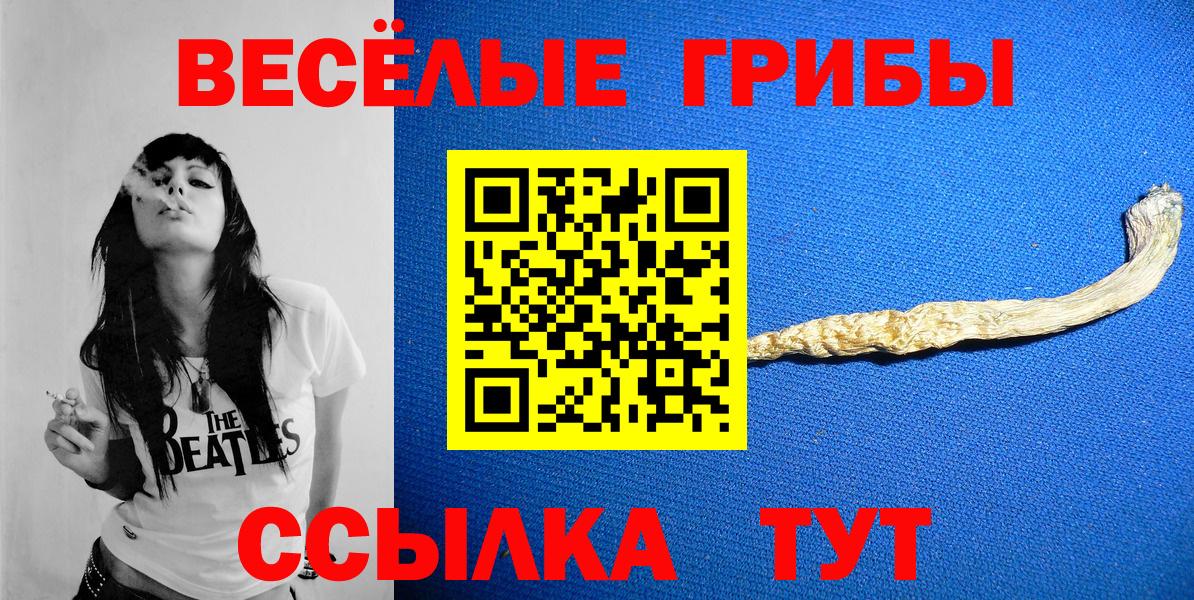 Галлюциногенные грибы GOLDEN TEACHER  Вход с VPN  Псилоцибиновые грибы MAGIC MUSHROOMS  Сафоново 